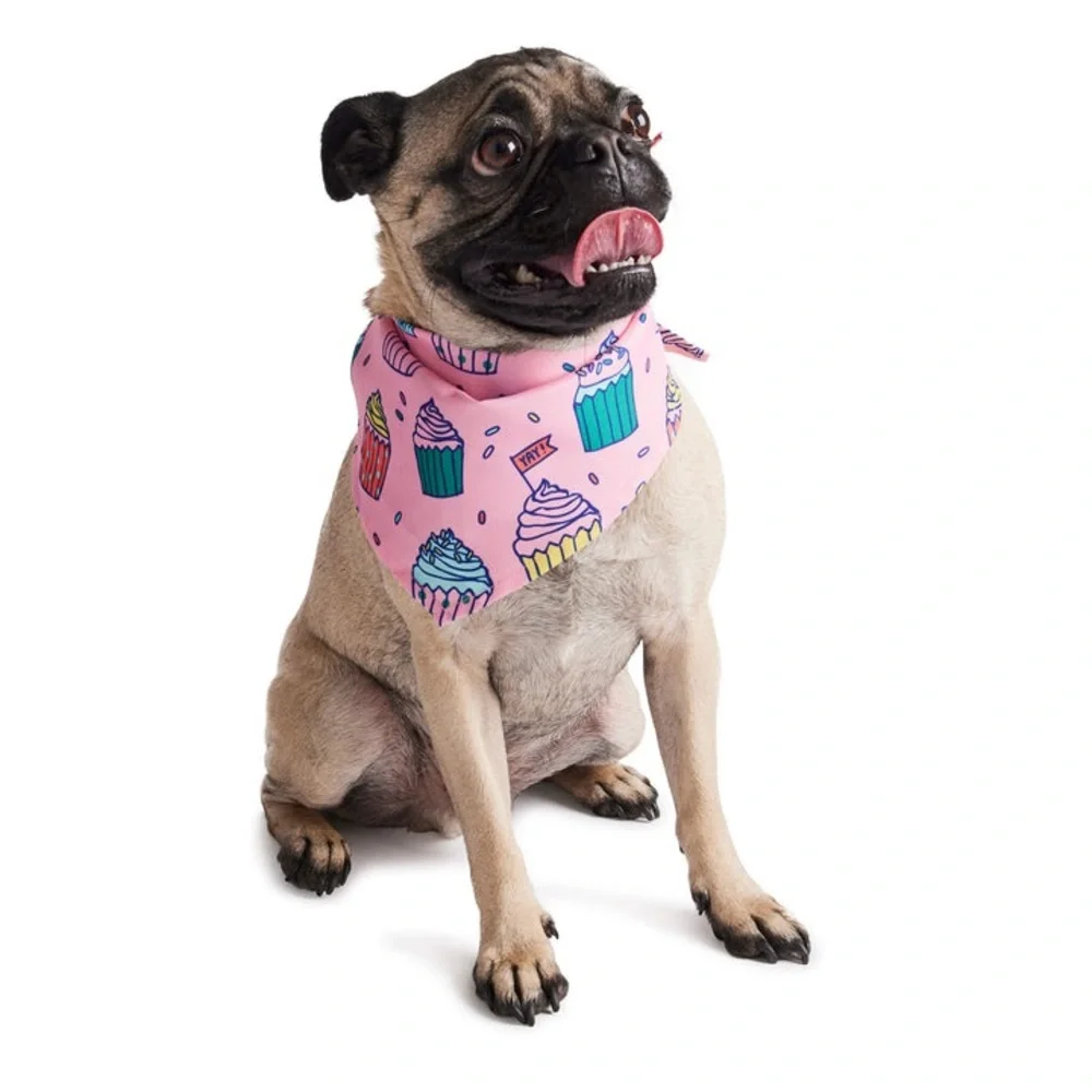 HOTEL DOGGY BIRTHDAY CUPCAKE BANDANA PINK SIZE M/L NWT